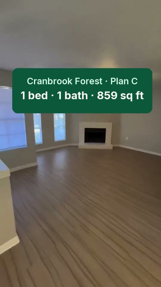 Plan C video walkthrough preview