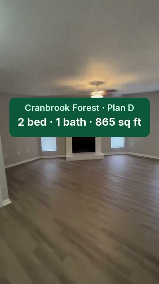 Plan D video walkthrough preview